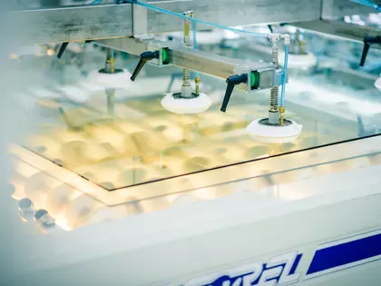 SAINT-GOBAIN PRIME GLASS WORKING